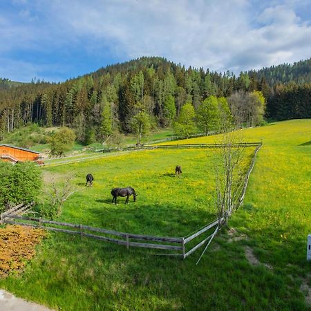 Huberhof 8 By Alpenidyll Apartments Schladming Luaran gambar
